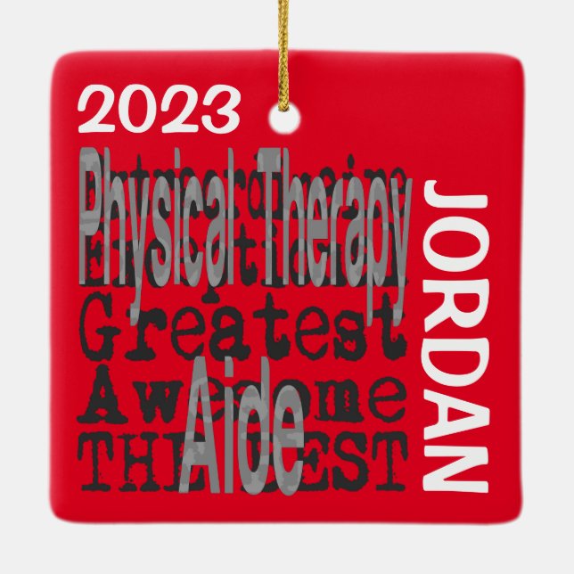 Ornamento De Cerâmica Ativo de Terapêutica Física Extraordinário PERSONA (Verso)