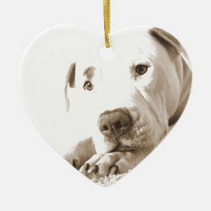 Ornamento De Cerâmica ato de ódio branco e sonolento não se reproduz