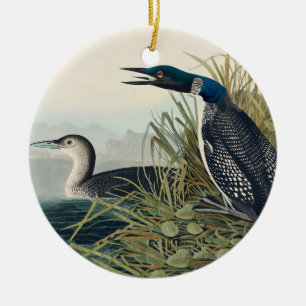 Ornamento De Cerâmica Audubon Bird Loon Diver Classic