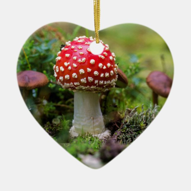 Ornamento De Cerâmica Autumn Beauty (Frente)