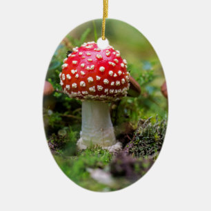 Ornamento De Cerâmica Autumn Beauty