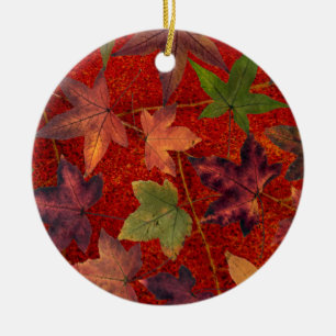 Ornamento De Cerâmica Autumn Leaves Fall Season Tree Leaf Colorir