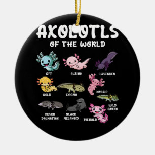 Ornamento De Cerâmica Axolotls Do Lover Kawaii Axolotl Da Cuta Mundial O