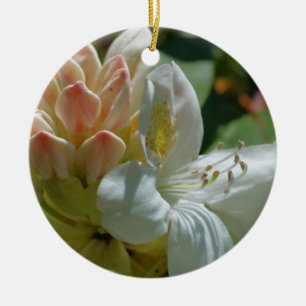 Ornamento De Cerâmica Azalea Branco