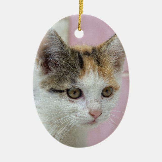 Ornamento De Cerâmica Baby Calico (Frente)