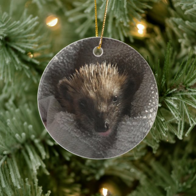 Ornamento De Cerâmica Baby Hedgehog em Blanket Ornament (Árvore)