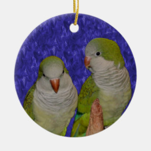 Ornamento De Cerâmica Baby Quaker Parrot Pair Pair Ornament