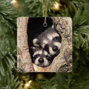 Ornamento De Cerâmica Baby Raccoons saindo da árvore