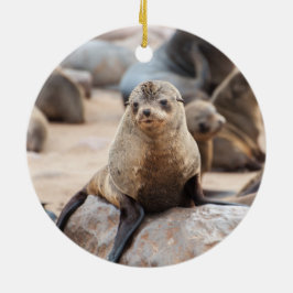 Ornamento De Cerâmica Baby Seal on Rock