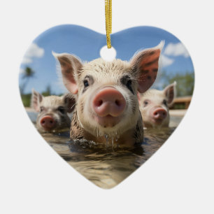 Ornamento De Cerâmica Bahamas Nadando Suínos - Exuma Pig Beach Adventure