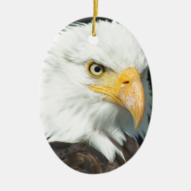 Ornamento De Cerâmica Bald Eagle (Frente)