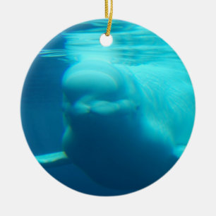 Ornamento De Cerâmica Baleia subaquática da beluga