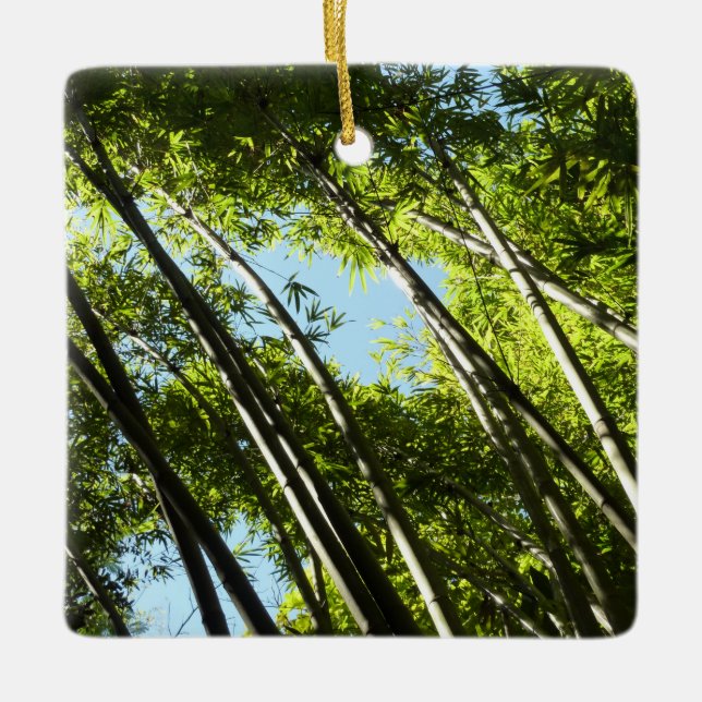 Ornamento De Cerâmica Bambu Natureza Botânica (Frente)