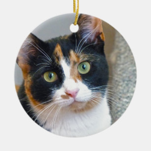 Ornamento De Cerâmica Bandido