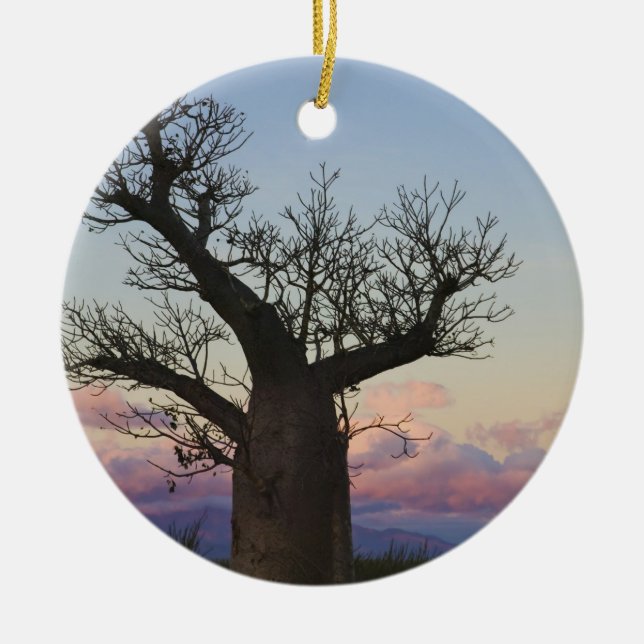 Ornamento De Cerâmica Baobabeiras, Berília, Toliara, Madagáscar (Frente)