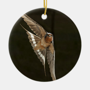 Ornamento De Cerâmica Barn Swallow em voo