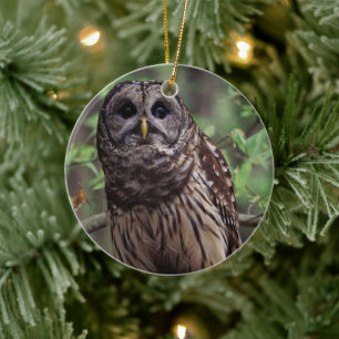 Ornamento De Cerâmica Barred Owl