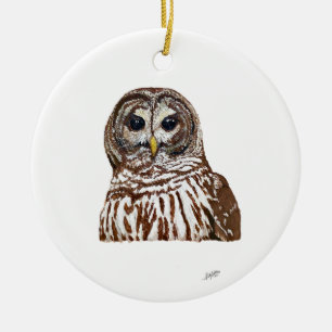 Ornamento De Cerâmica Barred Owl