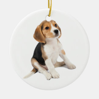 Ornamento De Cerâmica Beagle Puppy