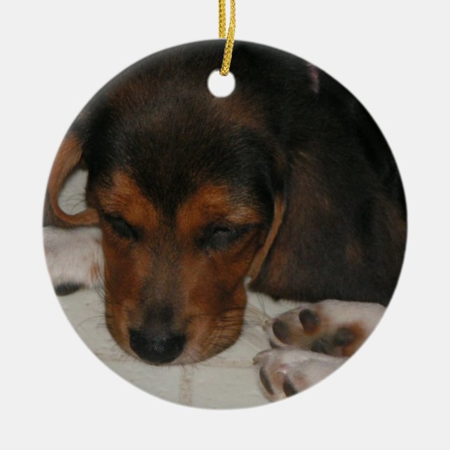 Ornamento De Cerâmica Beagle Puppy Ornament (Frente)