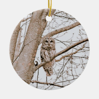 Ornamento De Cerâmica Beautiful Barred Owl Audubon Valentine’s