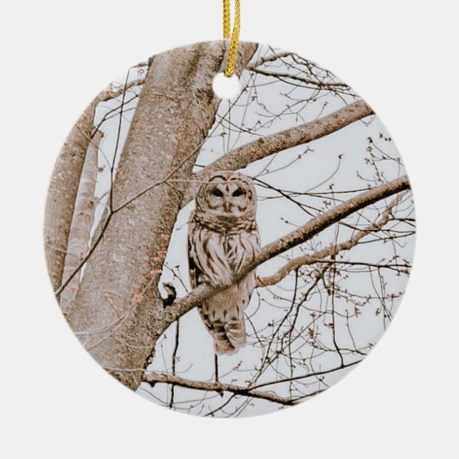 Ornamento De Cerâmica Beautiful Barred Owl Audubon Valentine’s  (Frente)
