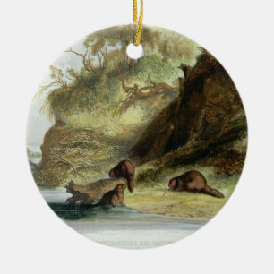 Ornamento De Cerâmica Beaver a cabana no Missouri, chapeie 17 do volume