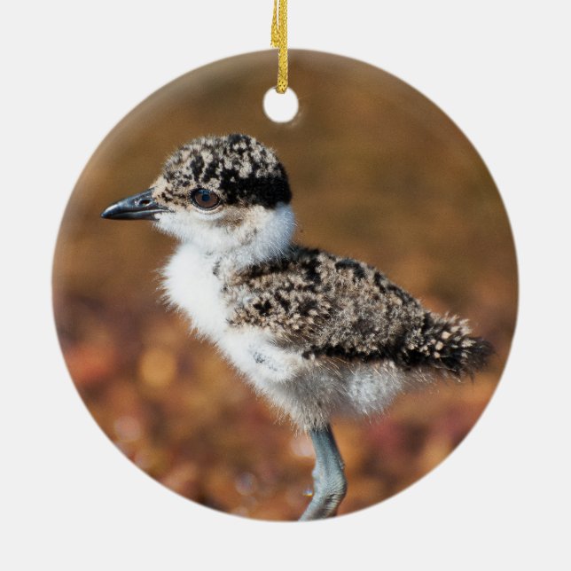 Ornamento De Cerâmica Bebê (Traseira)