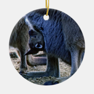 Ornamento De Cerâmica Bebê canguru na bolsa da mãe - Austrália