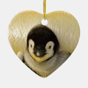 Ornamento De Cerâmica Bebê pinguim