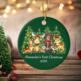 Ornamento De Cerâmica Bebê Primeiro Natal Animais Florestais Luzes Arco 