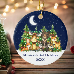 Ornamento De Cerâmica Bebê Primeiro Natal Animais Florestas Luzes Céu