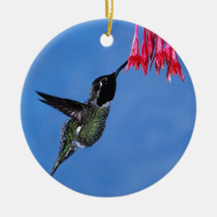 Ornamento De Cerâmica Beija-flor [1]