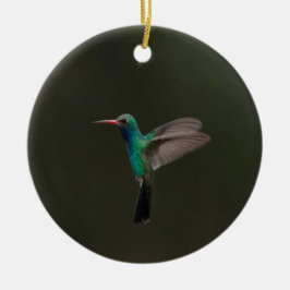 Ornamento De Cerâmica Beija-flor-de-bico-largo em voo