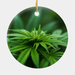 Ornamento De Cerâmica Bela Semana