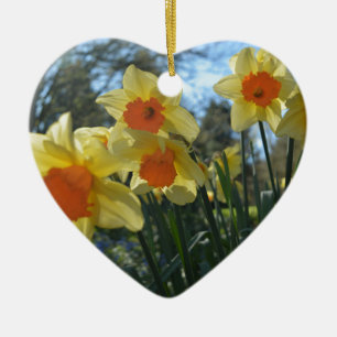 Ornamento De Cerâmica Belas flores de narciso amarelo e laranja da prima