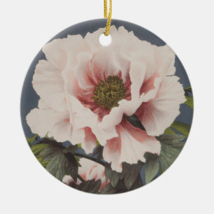 Ornamento De Cerâmica Belas impressões fotomecânicas das Flores de Pen