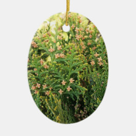 Ornamento De Cerâmica Beleza da Natureza: Árvore de Juniper