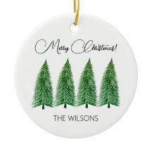 Beleza do País das Festas de inverno