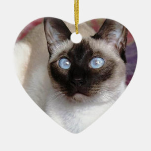 ORNAMENTO DE CERÂMICA BELEZA SIAMESE