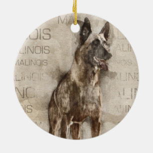 Ornamento De Cerâmica Belga Malinois - Mechelaar - Maligator