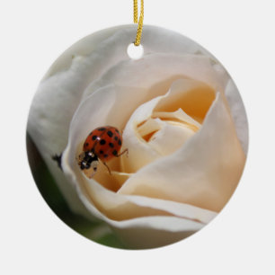 Ornamento De Cerâmica belíssima rosa branca e joaninha