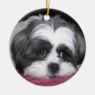 Ornamento De Cerâmica Belle o cão de Shih Tzu