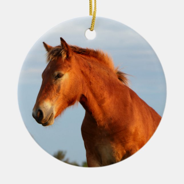 Ornamento De Cerâmica Belo Cavalo da Mula (Frente)