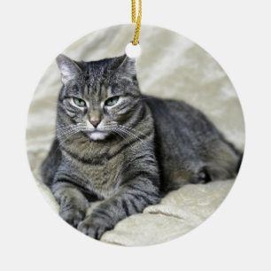 Ornamento De Cerâmica Belo Gato