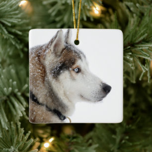 Ornamento De Cerâmica Belo Husky Siberiano na neve
