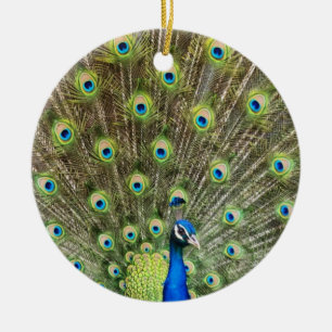 Ornamento De Cerâmica Belo pássaro pavão