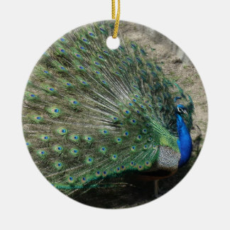 Ornamento De Cerâmica Belo Pavão