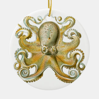Ornamento De Cerâmica Belo quadro de polvo de Haeckel
