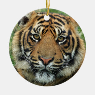 Ornamento De Cerâmica Belo Tigre